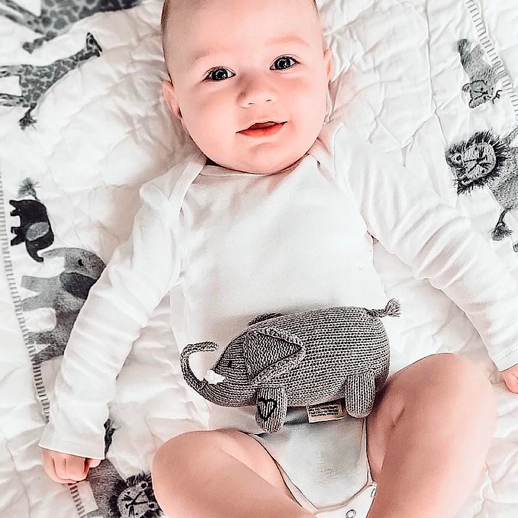 Baby Rattle Toy - Elephant Rattle