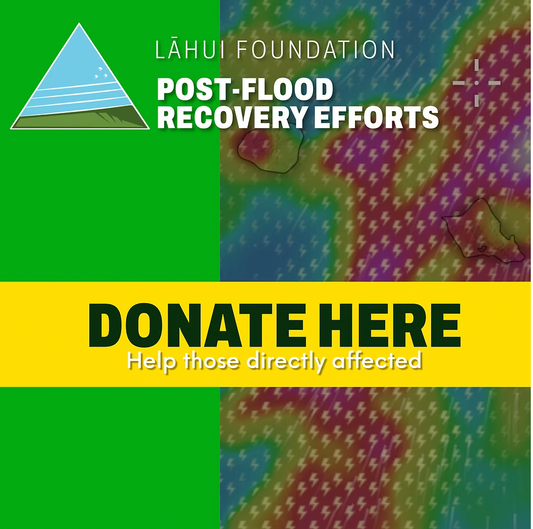 Helping Hawai`i