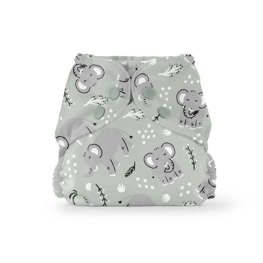 Swim Diaper & Outer Cover
