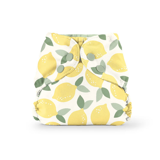 Swim Diaper & Outer Cover