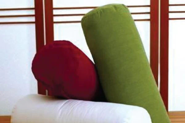 Organic Bolster Insert